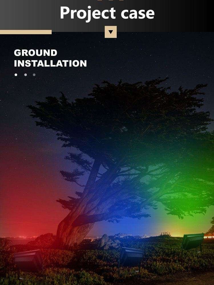 project for landscaping with colorful changing solar lights