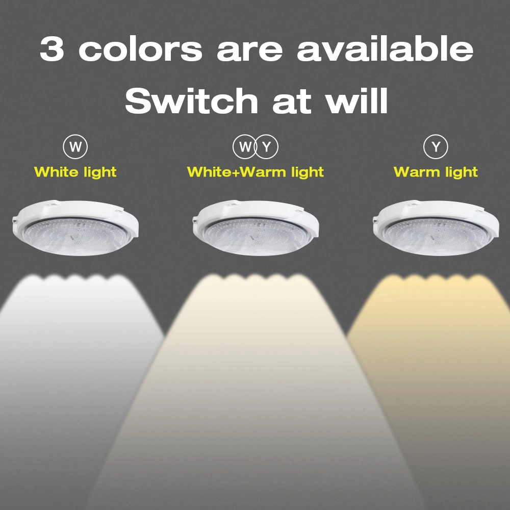 white color, yellow color, full colors for ceiling lights